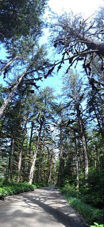 Premier Creek Lodging主图