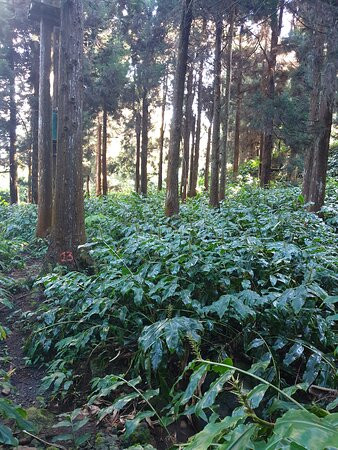 Makes Aventures-圣路易岛必去景点