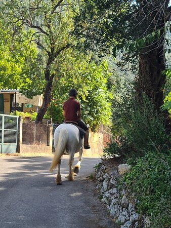 Trailriders Horse Trekking-Gouvia必去景点