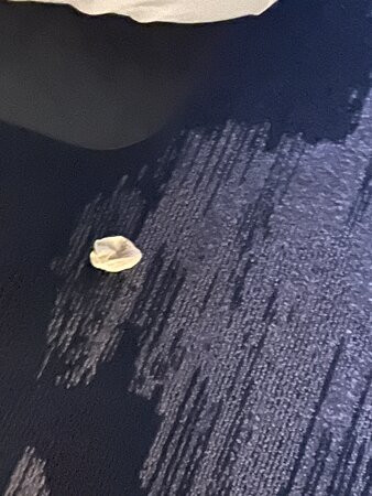 Fairfield by Marriott Inn & Suites Columbus, IN主图