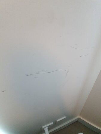 帕威里恩1770酒店主图