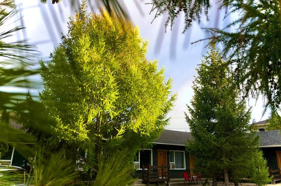 Aux Portes Du Soleil主图