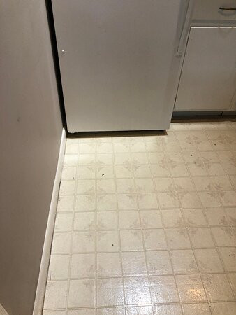 Willow Valley Resort主图