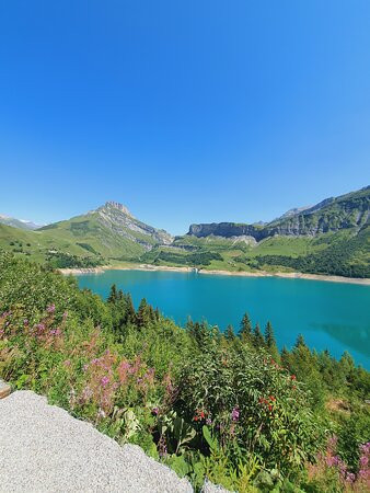 The French Ride景点图片