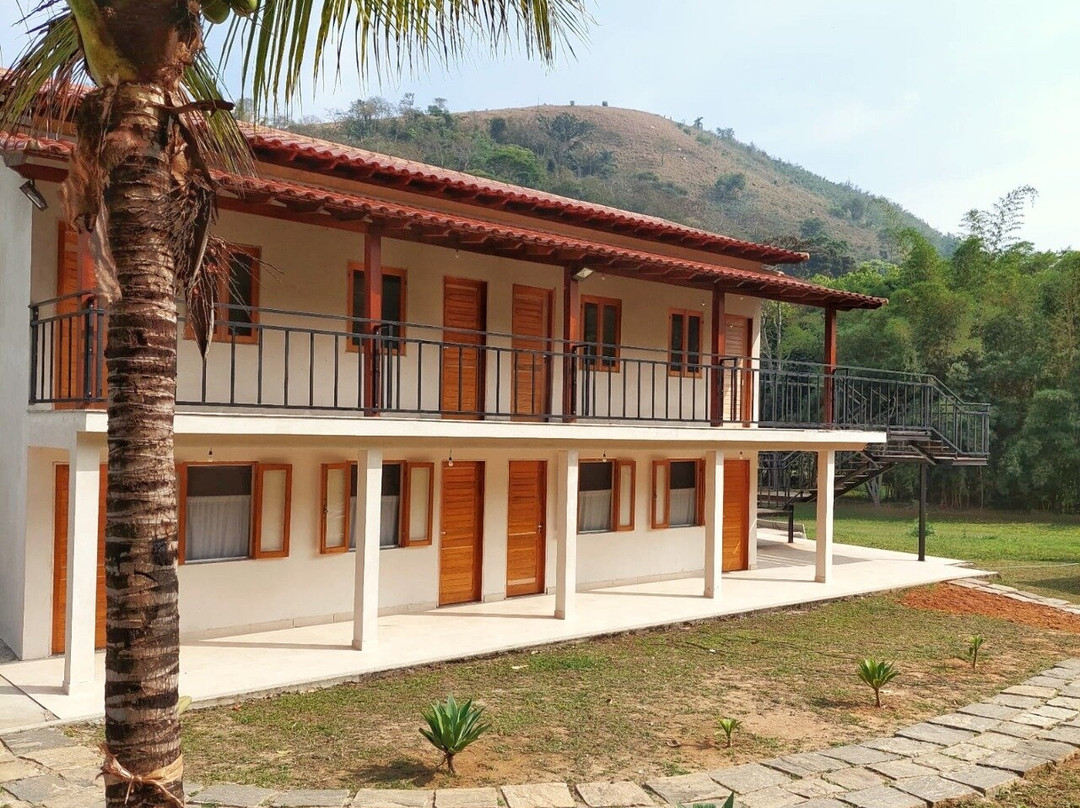 Eco Palmeira