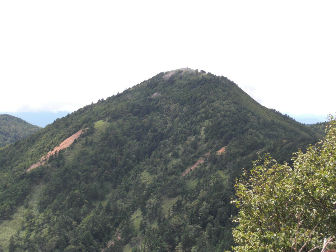 Mt. Higashi Kagonotoyama景点图片