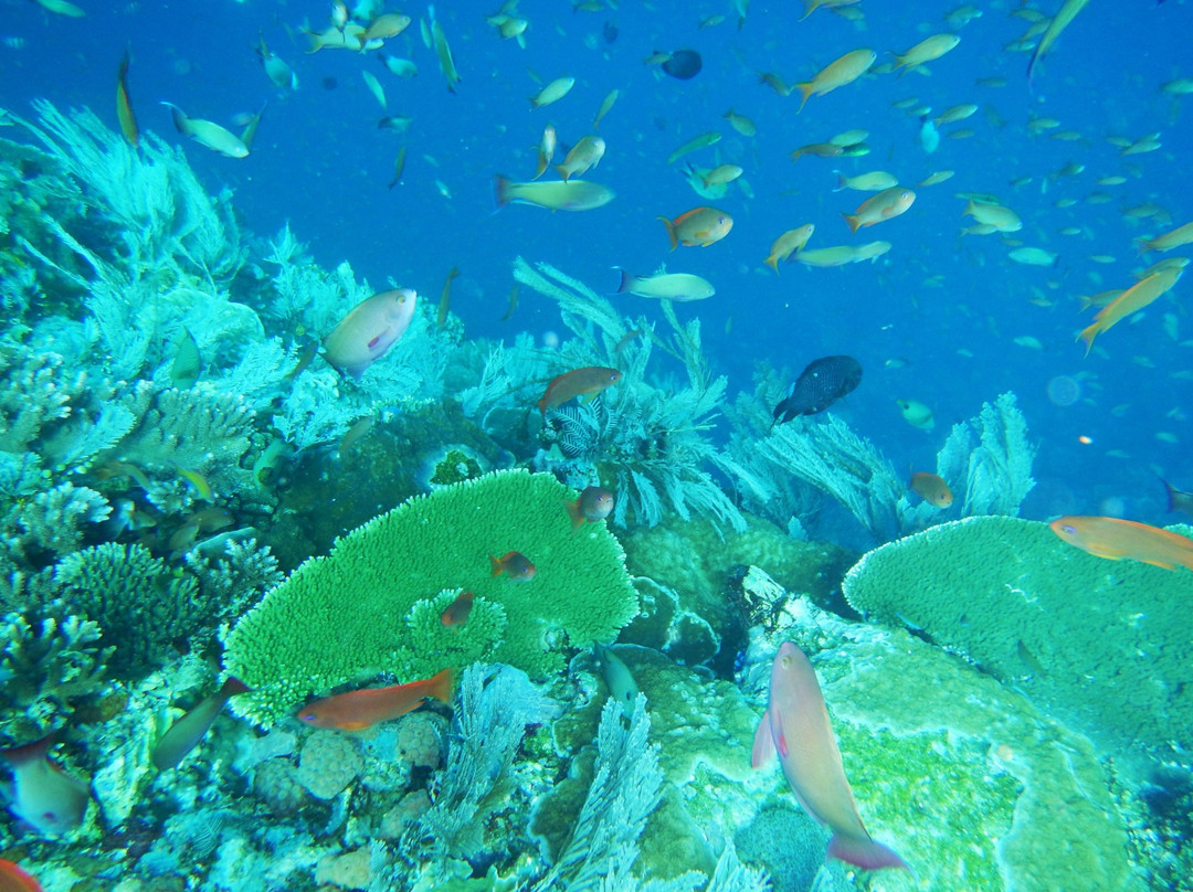 Batu Bolong Reef景点图片