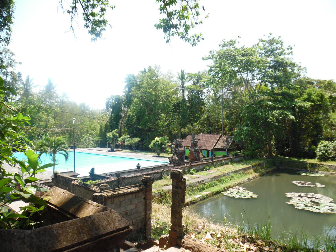 Tirta Arum Public Pool景点图片