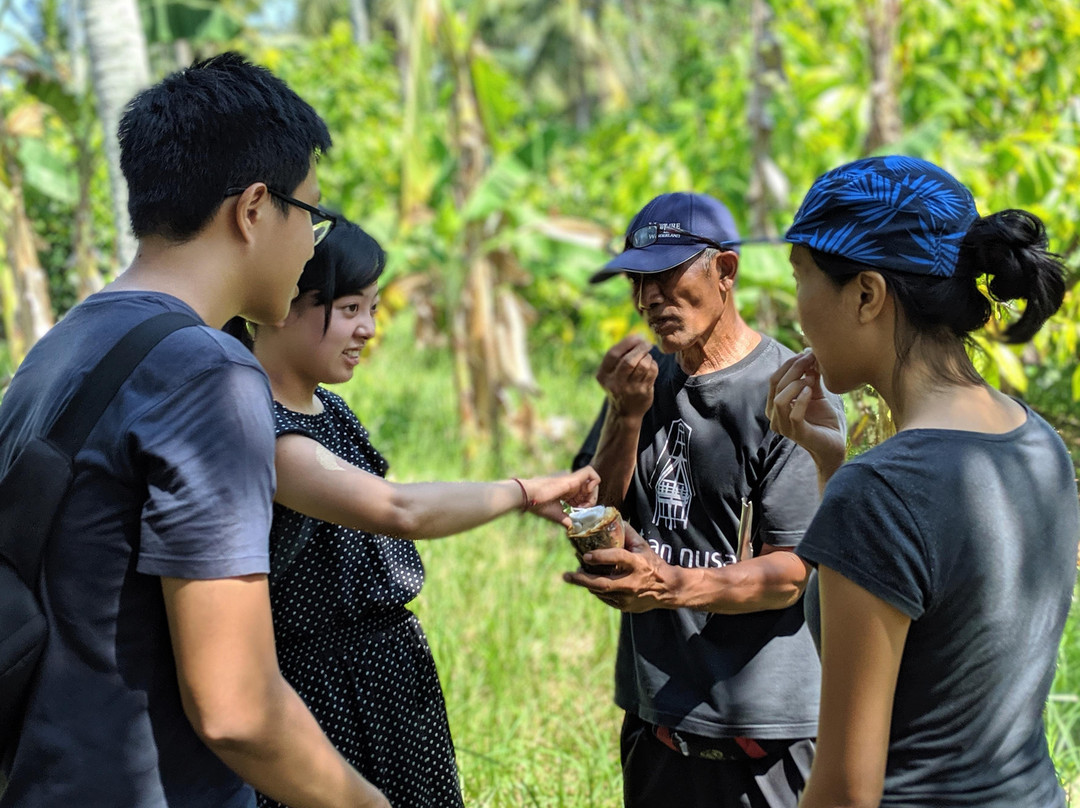 Five Pillar Experiences