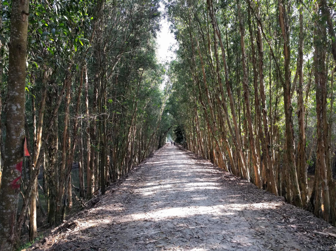 朱笃旅游攻略图片