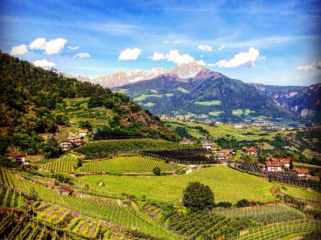 Lagundo旅游攻略图片