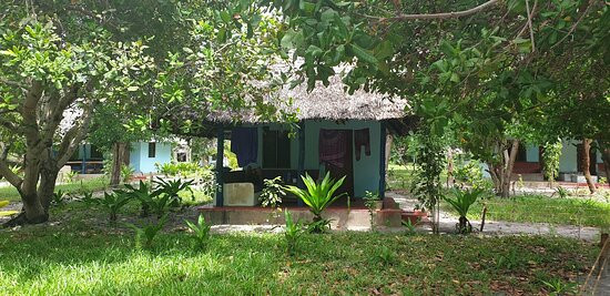 Mafia Blue Waves (previously Mangrove Beach Bungalows)主图