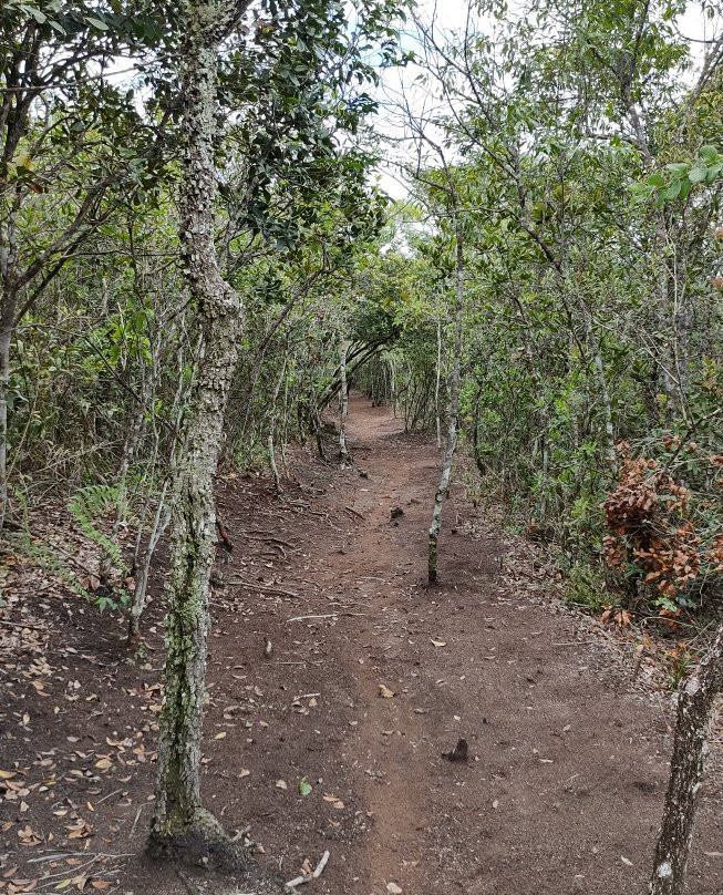 Parque Estadual do Cerrado景点图片