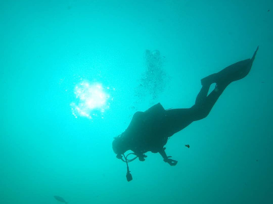 Buceo Valencia-La Pobla de Farnals必去景点