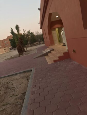 Hamad Al Saleh Al Ibrahim Mosque-Fintas必去景点