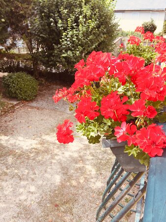 Le Clos Rabelais-酒店景观