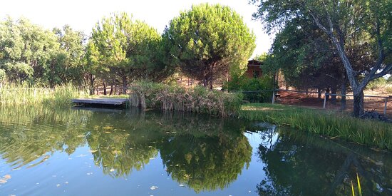 Casa De Campo Vale Do Asno-官方