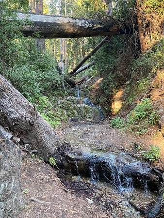 Deetjen's Big Sur Inn主图