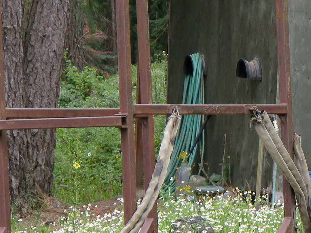 Rider Ranch-科达伦必去景点