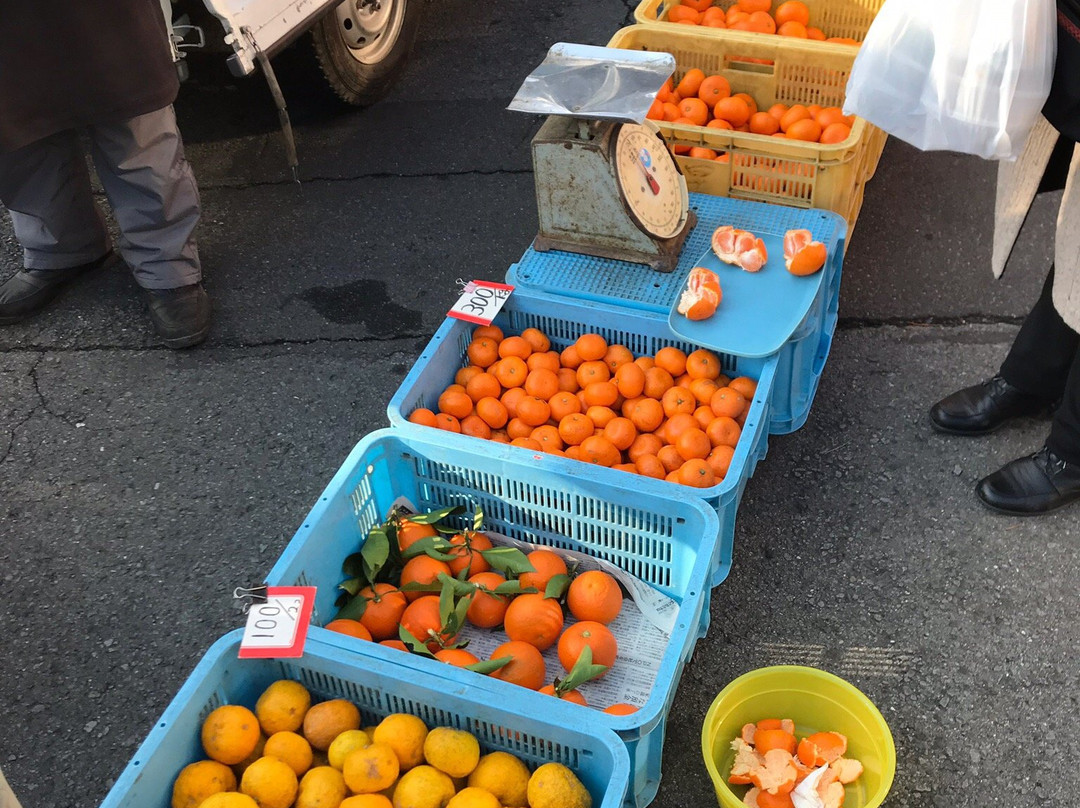Yugawara Onsen Sunday Sightseeing Morning Market