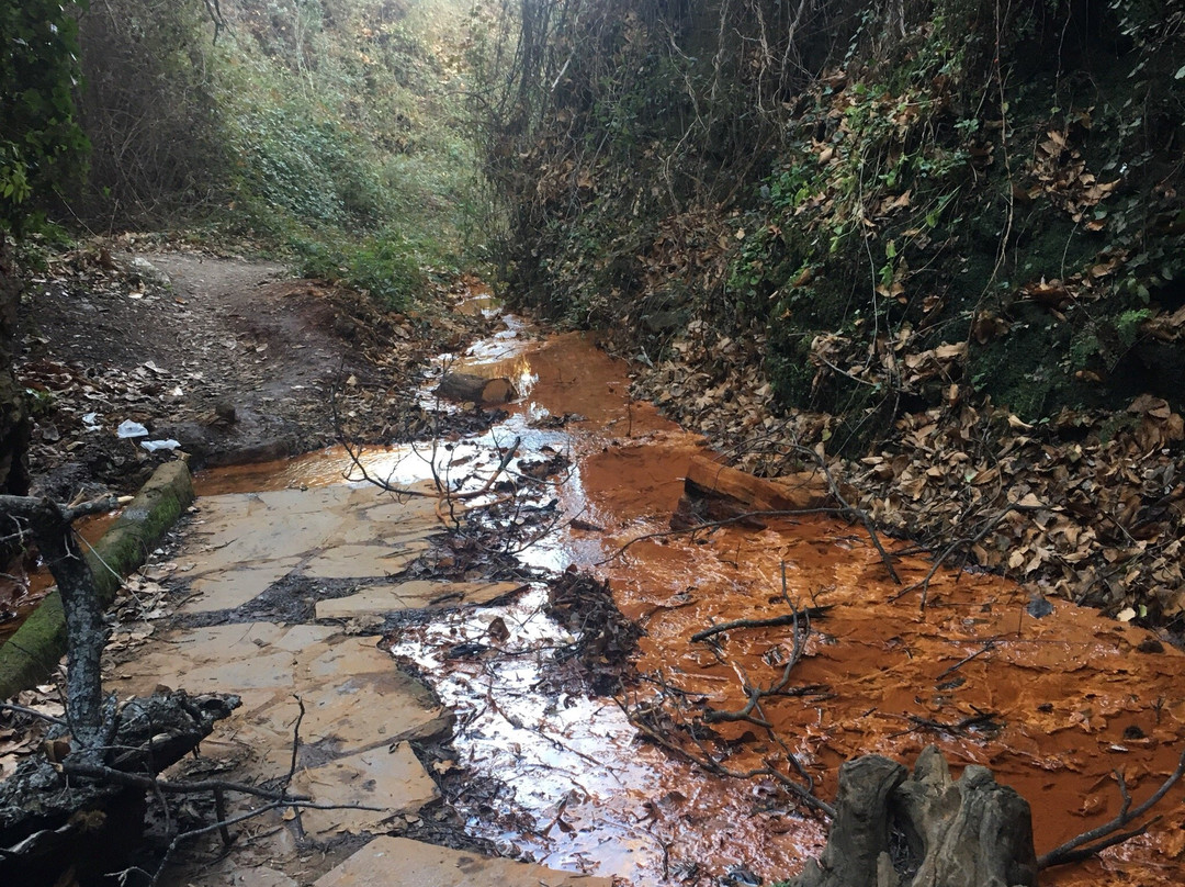 Portugos旅游攻略图片