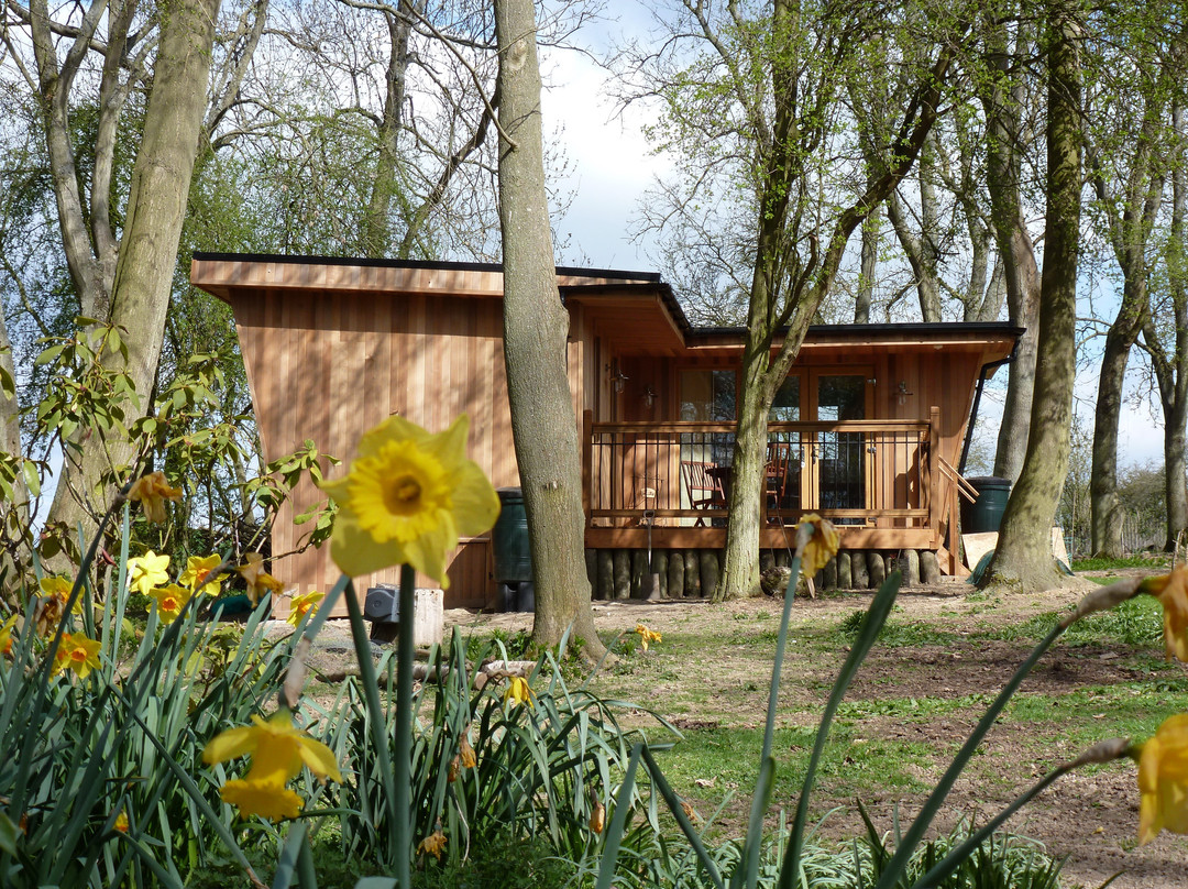 Massington Lodge