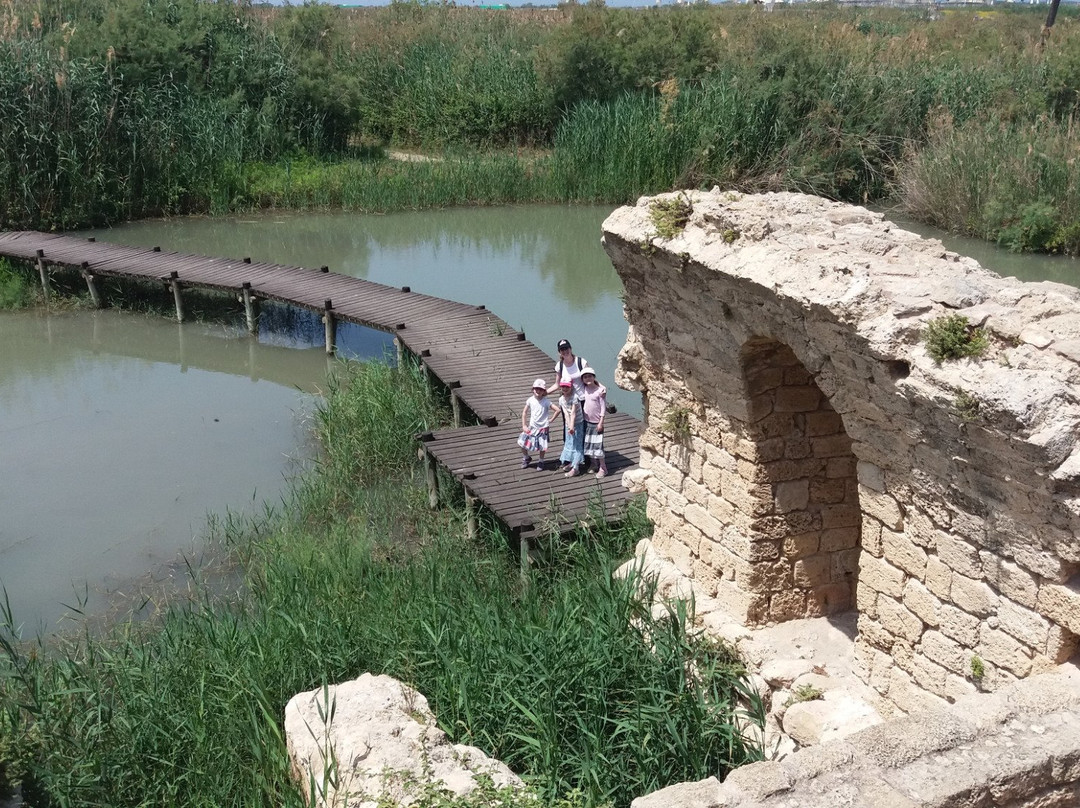 Taninim Nature Reserve