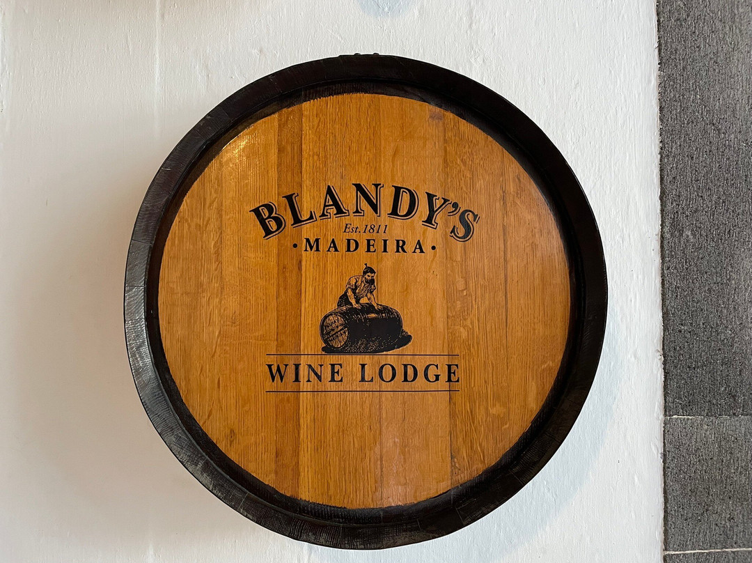 Discovering Madeira One Day Wine Tour-马德拉群岛必去景点