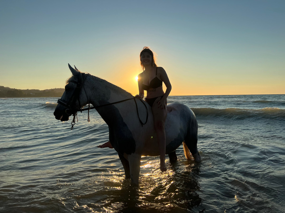 Katreena Horse Riding Corfu in Roda景点图片