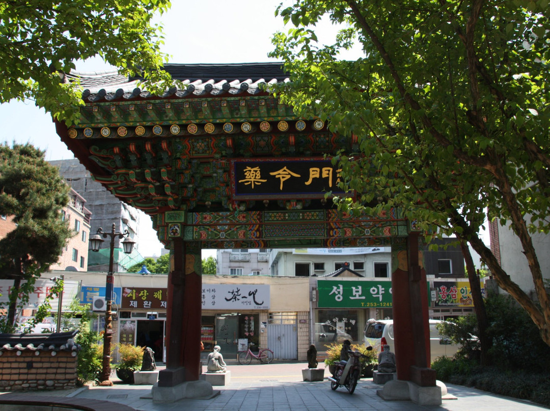 Daegu Oriental Medicine Market-大邱必去景点