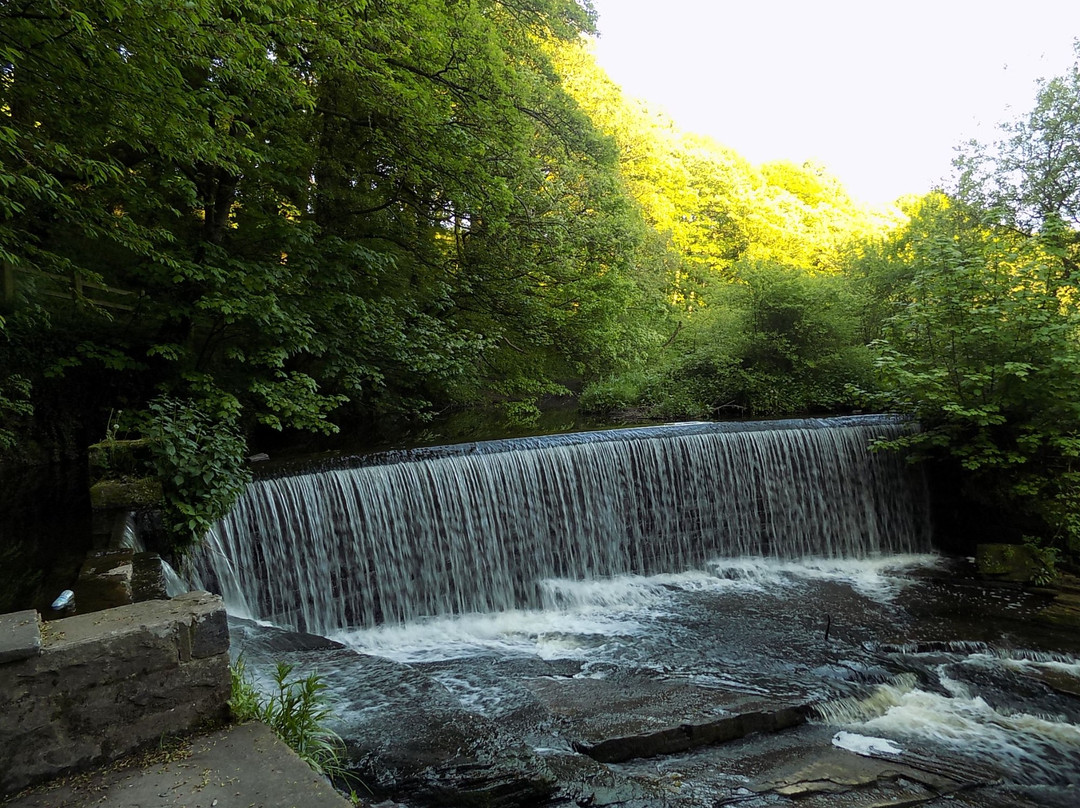 Yarrow Valley Country Park景点图片