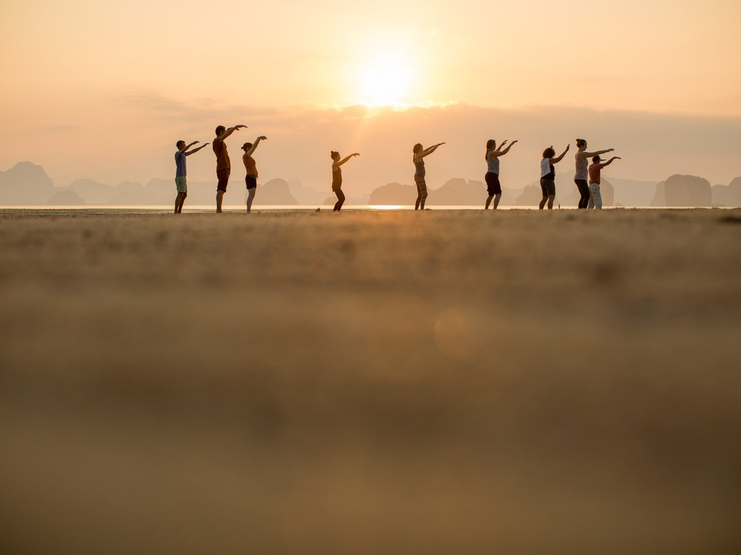 Island Yoga景点图片