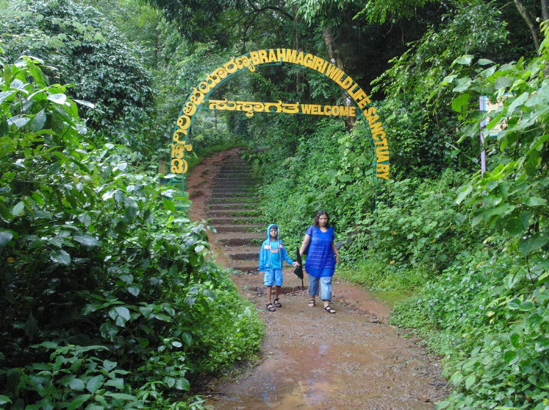 Hathugattu Forest I旅游攻略图片