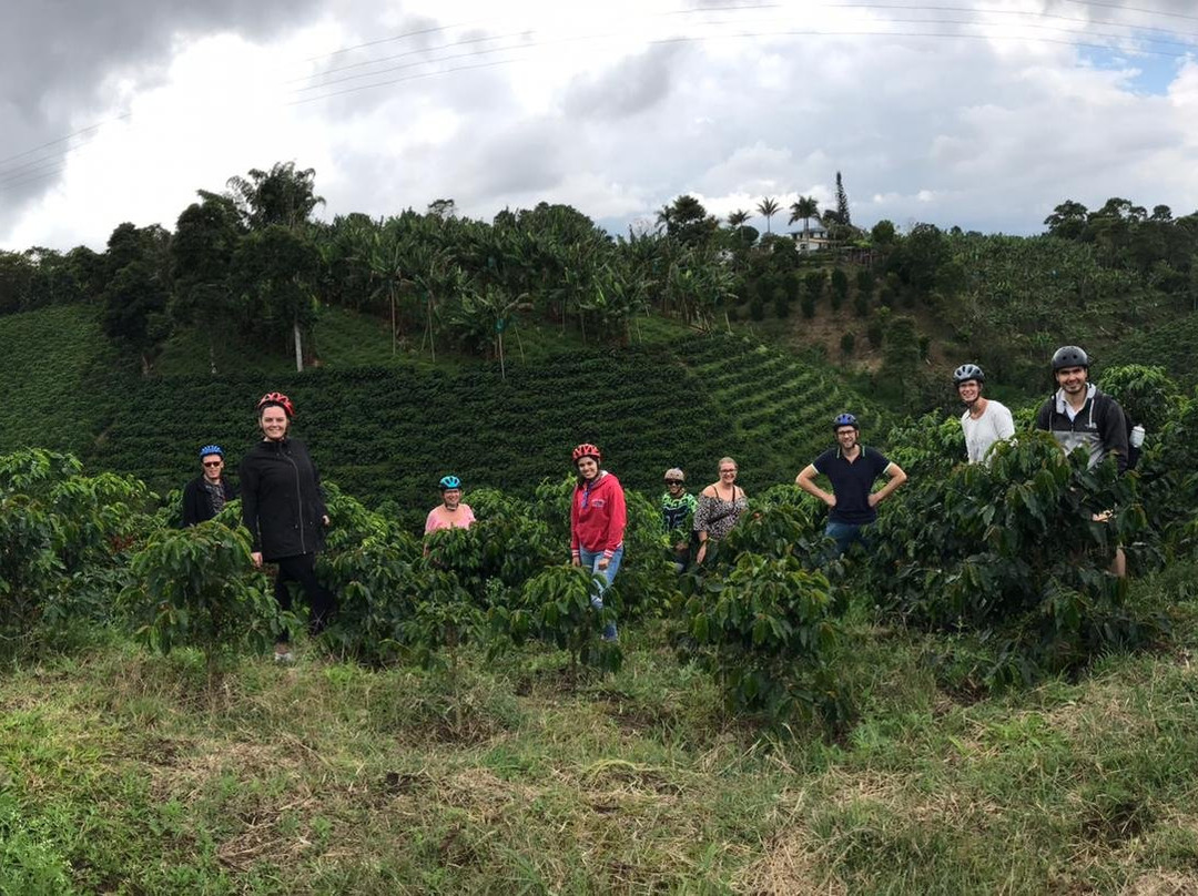 Filandia Bike-Filandia必去景点