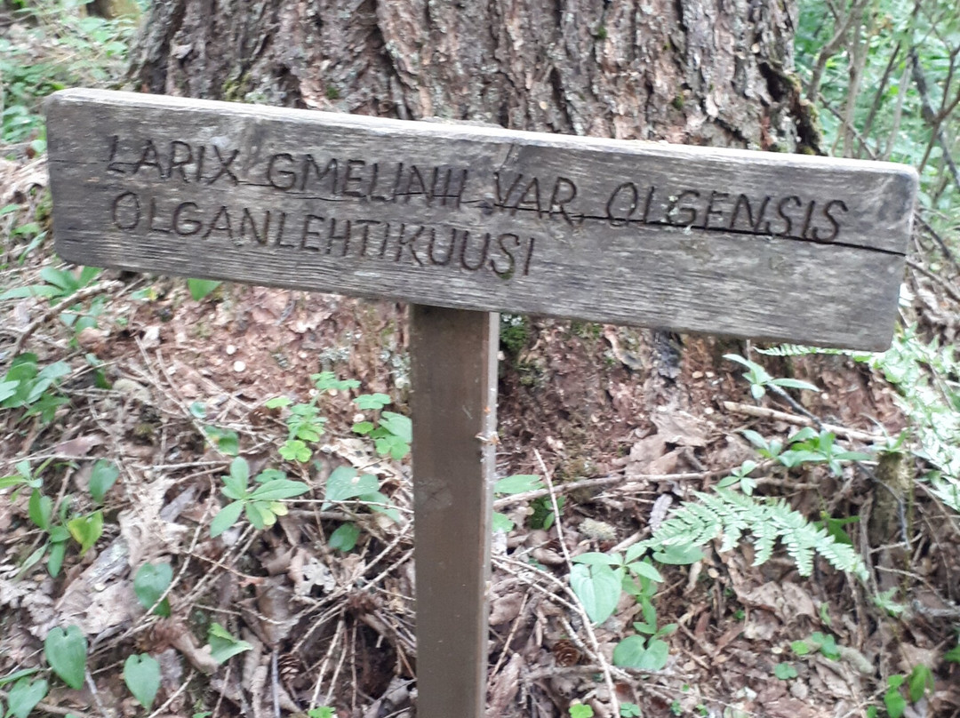 Hortsanan Arboretum-Orivesi必去景点