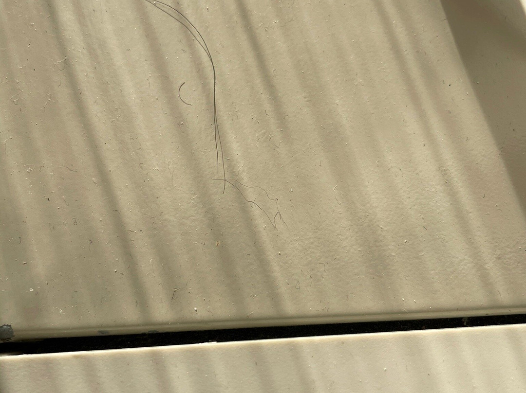 Hampton Inn & Suites Manchester-Bedford主图