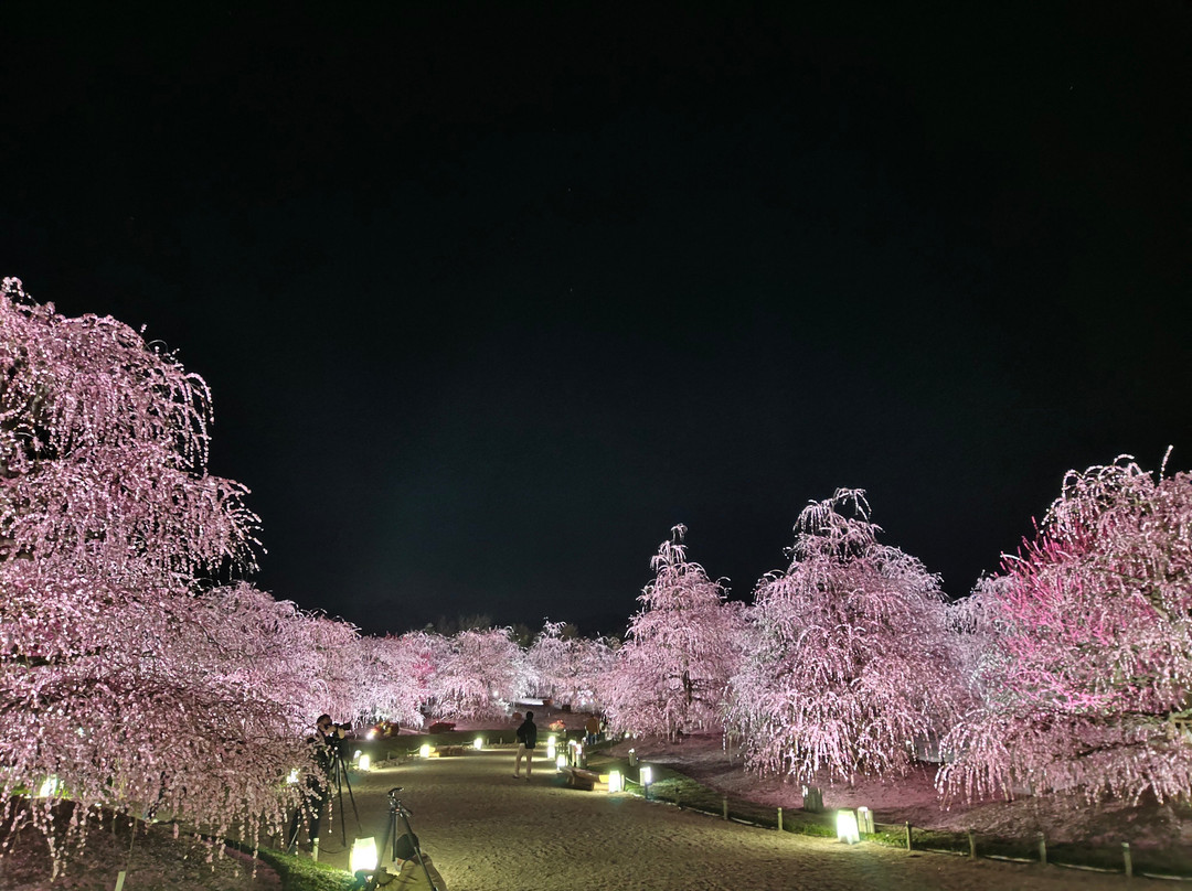 Suzuka Forest Garden景点图片