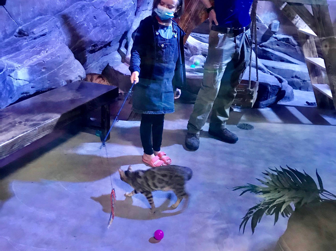 Layton Aquarium & Wildlife Encounters景点图片