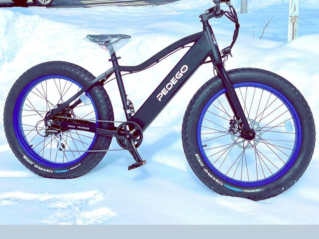 Pedego Electric Bikes Stony Brook-East Setauket必去景点