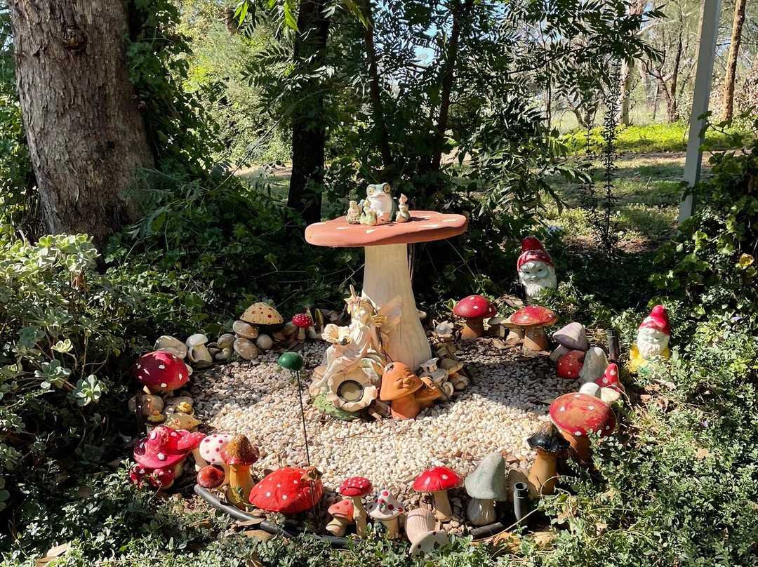 Alladins Cave Bottle House-达博必去景点