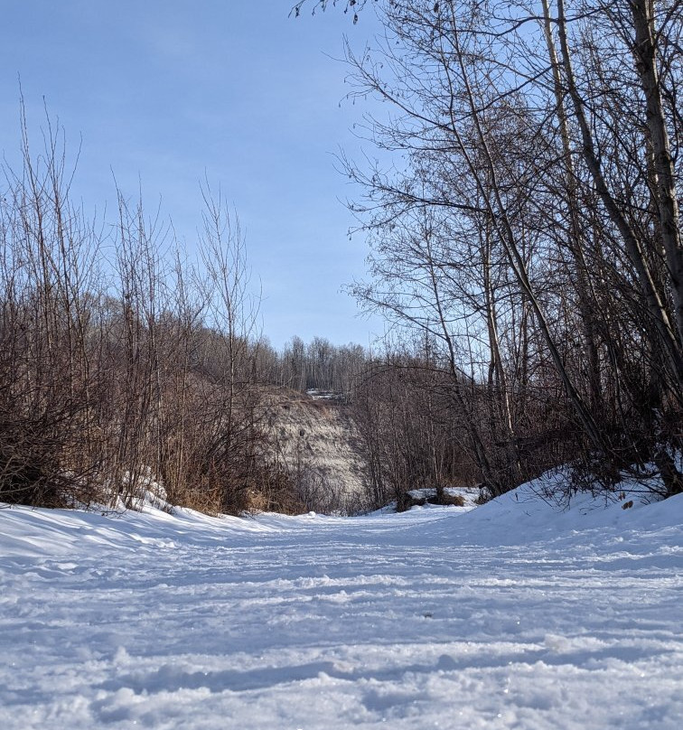 Devon Voyageur Park-德文郡必去景点