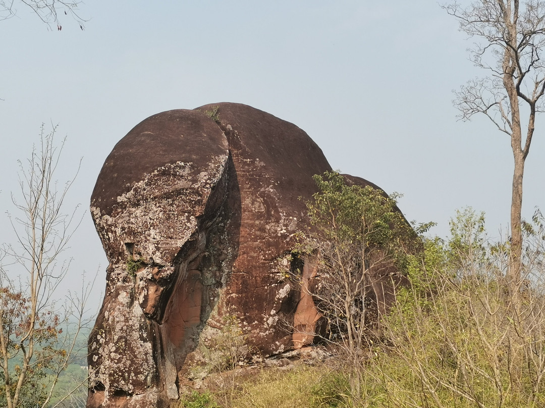 Phu Sing Bueng Kan景点图片