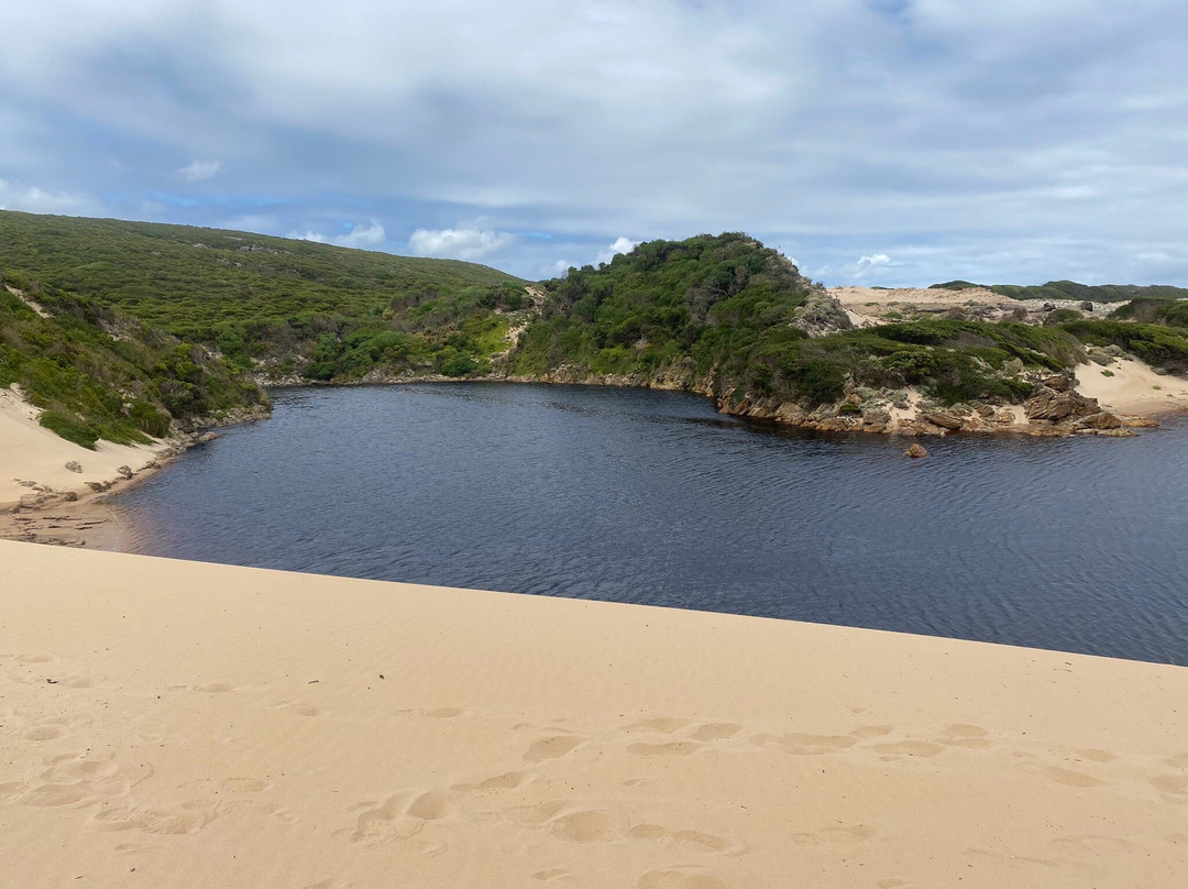 Tarkine Trails景点图片