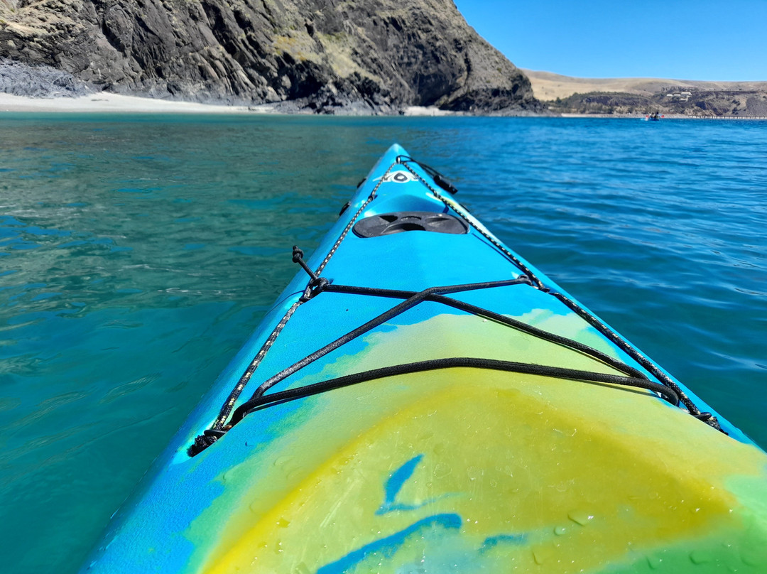 Adventure Kayaking SA-阿德莱德必去景点