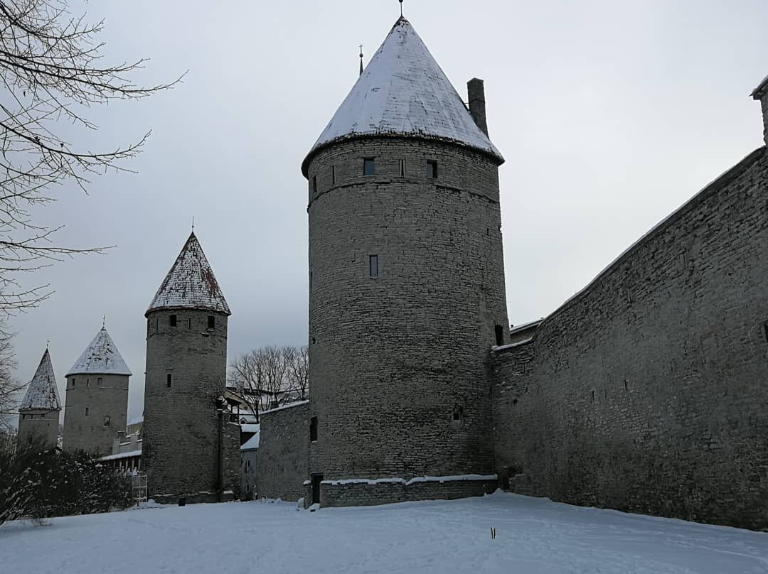 Tallinn Private Tour Guide-塔林必去景点