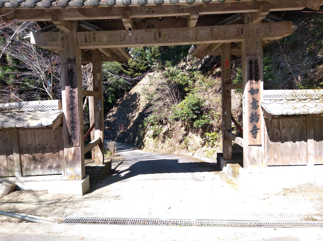 Nyoirinji Temple景点图片