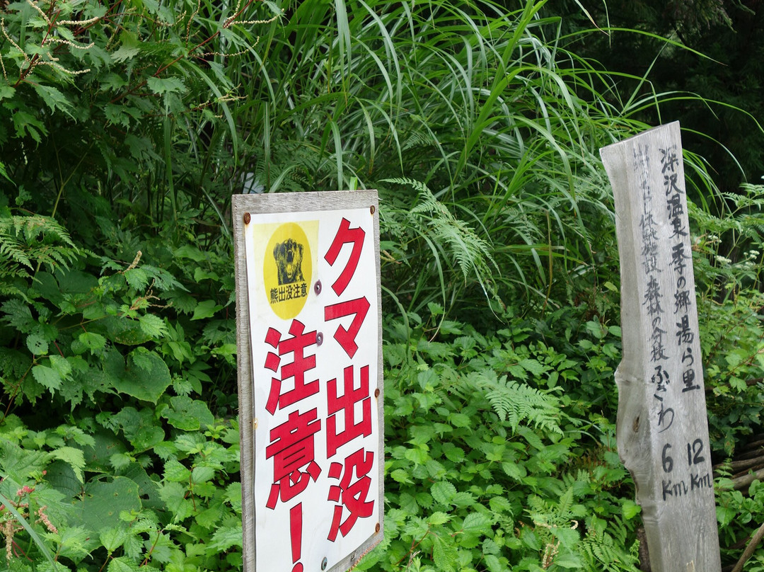 Megumi no Mori-只见町必去景点