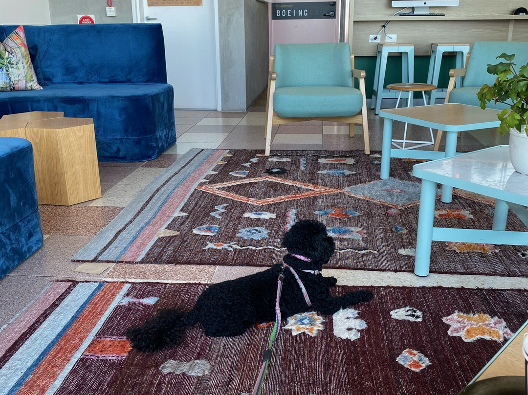 Citadines Connect Sydney Airport主图