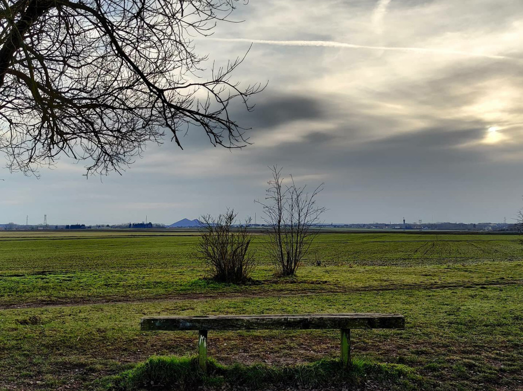 Terril De Loos En Gohelle-Loos en Gohelle必去景点