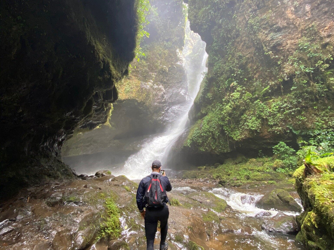 La Cueva de los Guacharos景点图片
